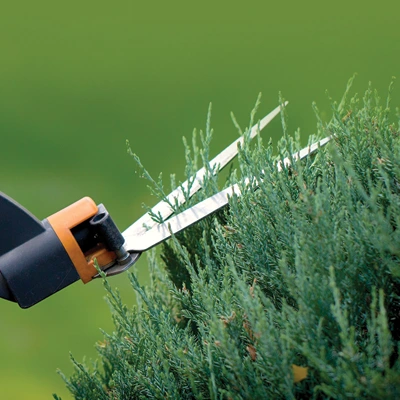 Shrubs being trimmed with pruning shears